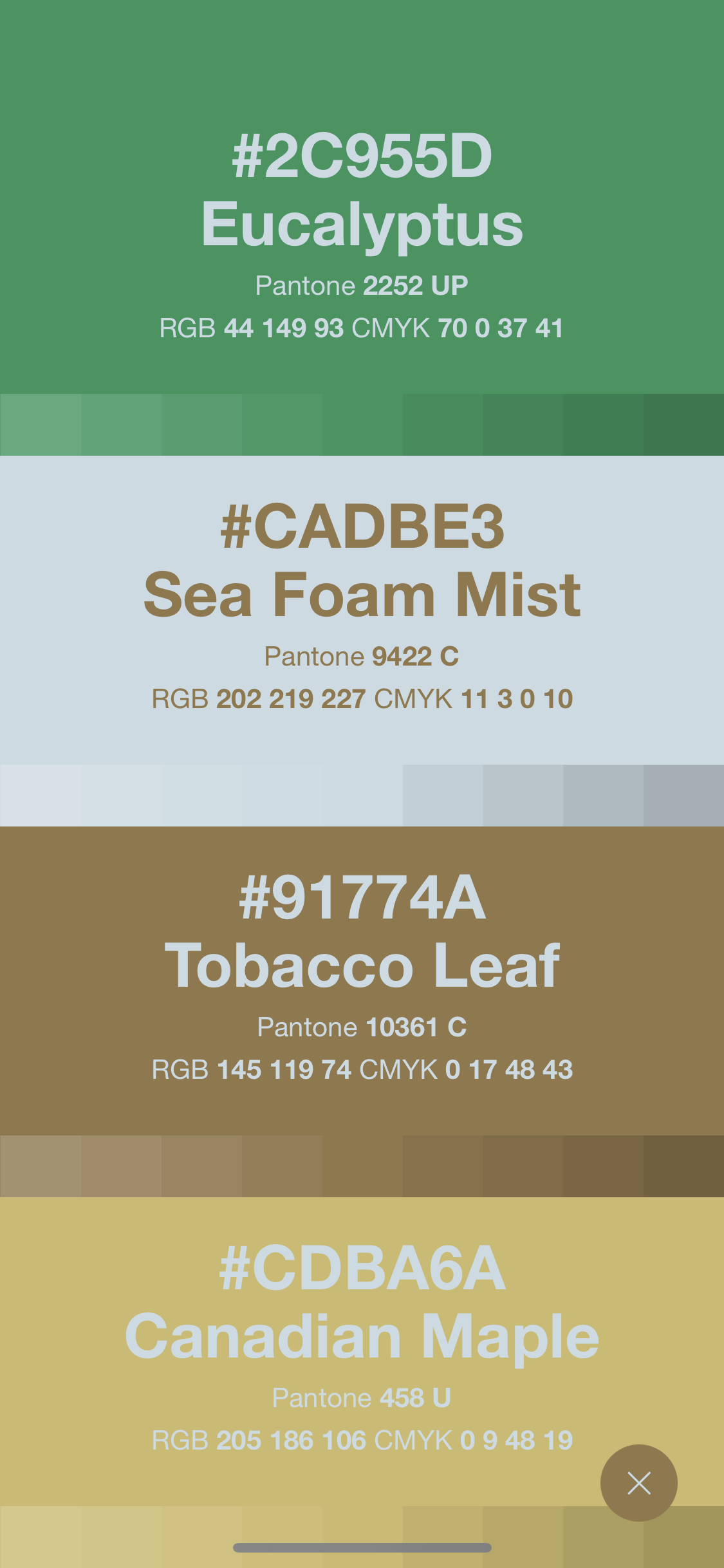 Wookmama-screenshot-color02